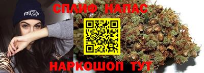 spice Коммунар