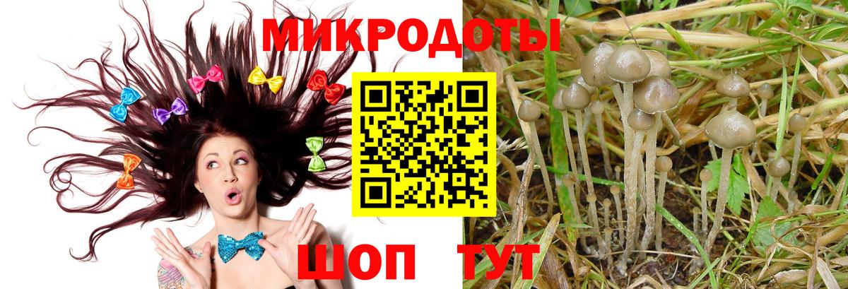 Галлюциногенные грибы Cubensis Красный Сулин